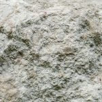 Diatomaceous earth: what it is and what it is used for Diatomaceous-earth-what-it-is-and-what-it-is-used-for