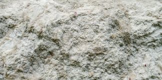 Diatomaceous earth: what it is and what it is used for Diatomaceous-earth-what-it-is-and-what-it-is-used-for