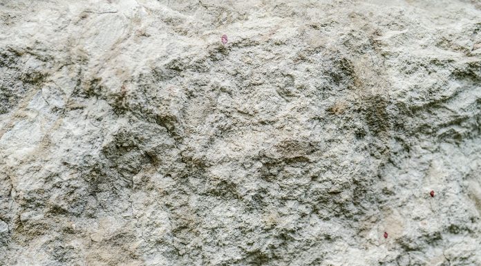 Diatomaceous earth: what it is and what it is used for Diatomaceous-earth-what-it-is-and-what-it-is-used-for
