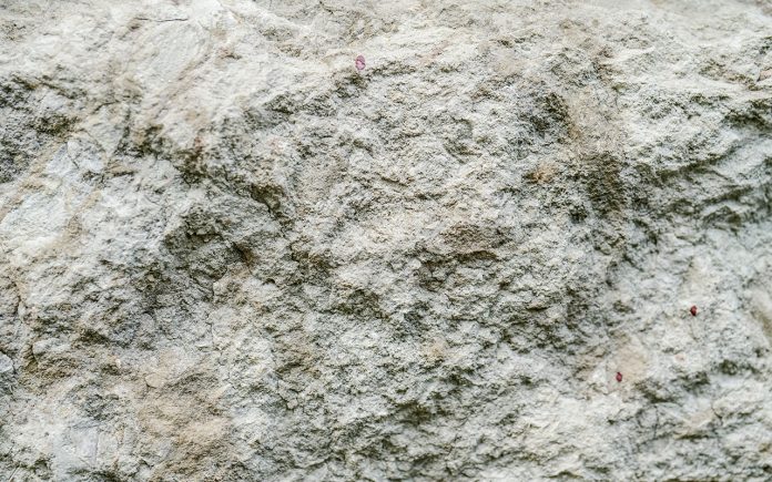 Diatomaceous-earth-what-it-is-and-what-it-is-used-for