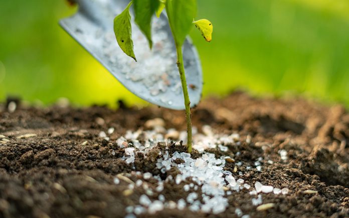 Difference-Between-Fertilizer-and-Fertilizer