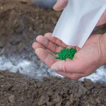 Do ashes serve as fertilizer for plants? Do-ashes-serve-as-fertilizer-for-plants