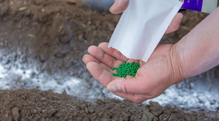 Do ashes serve as fertilizer for plants? Do-ashes-serve-as-fertilizer-for-plants