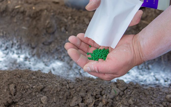 Do-ashes-serve-as-fertilizer-for-plants