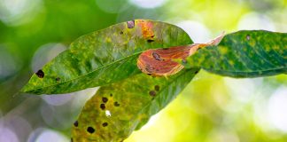 Fighting rust Fighting-rust