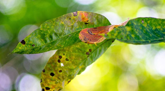 Fighting rust Fighting-rust