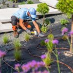 Fixing a garden, how to do it? Fixing-a-garden,-how-to-do-it