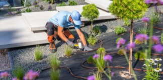 Fixing a garden, how to do it? Fixing-a-garden,-how-to-do-it