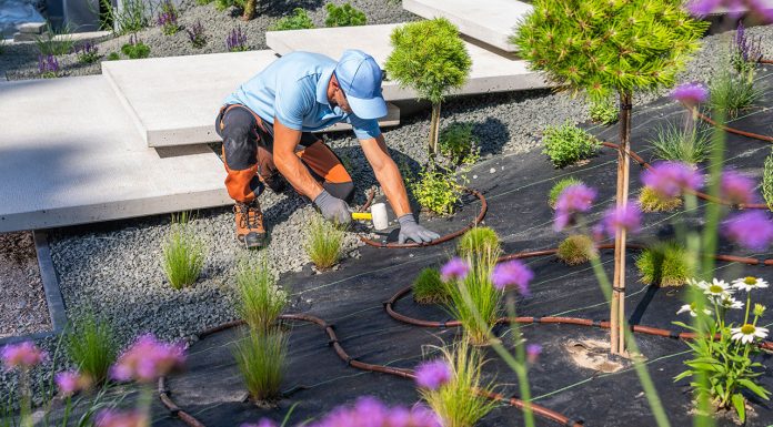 Fixing a garden, how to do it? Fixing-a-garden,-how-to-do-it