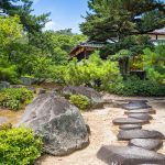 Home remedies for the pine processionary Home-remedies-for-the-pine-processionary