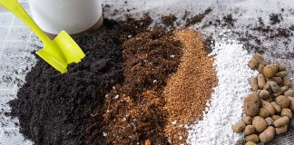 How to Make Homemade Organic Fertilizer for Plants How-to-Make-Homemade-Organic-Fertilizer-for-Plants