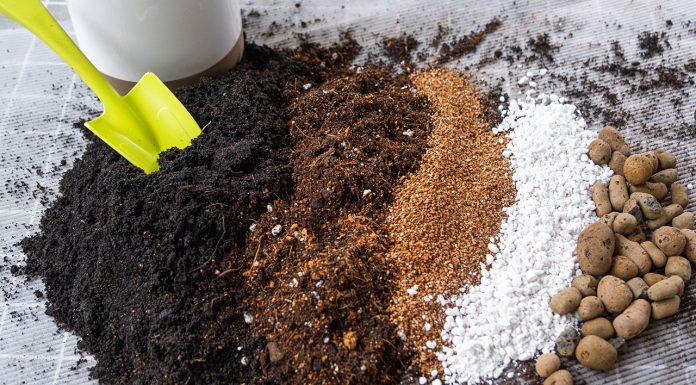 How to Make Homemade Organic Fertilizer for Plants How-to-Make-Homemade-Organic-Fertilizer-for-Plants