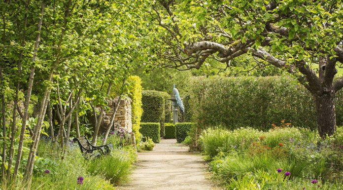 How to Make a Garden Border How-to-Make-a-Garden-Border