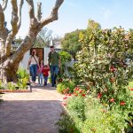 How to Plan a Small Garden How-to-Plan-a-Small-Garden