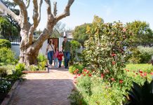 How to Plan a Small Garden How-to-Plan-a-Small-Garden