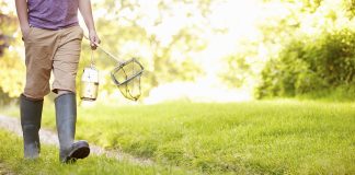 How to Remove Grass Weeds from Lawns How-to-Remove-Grass-Weeds-from-Lawns