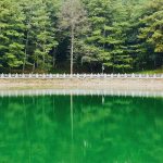 How to clean green water from a pond How-to-clean-green-water-from-a-pond