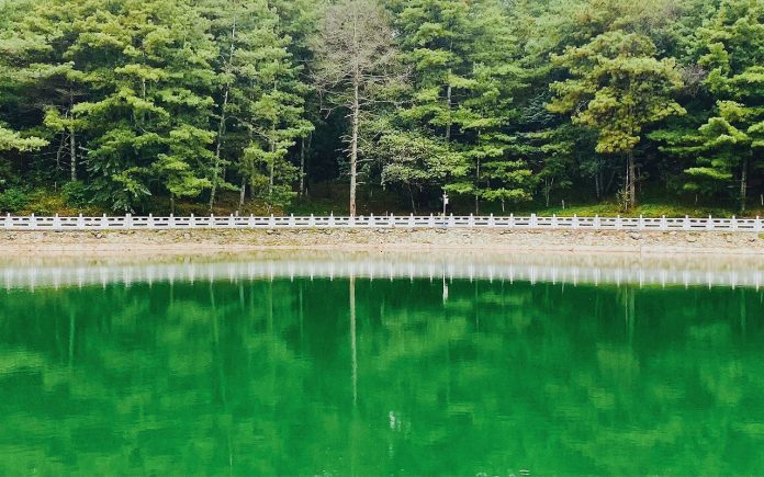 How-to-clean-green-water-from-a-pond