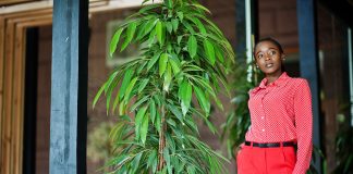 Marquise plant: care Marquise-plant-care