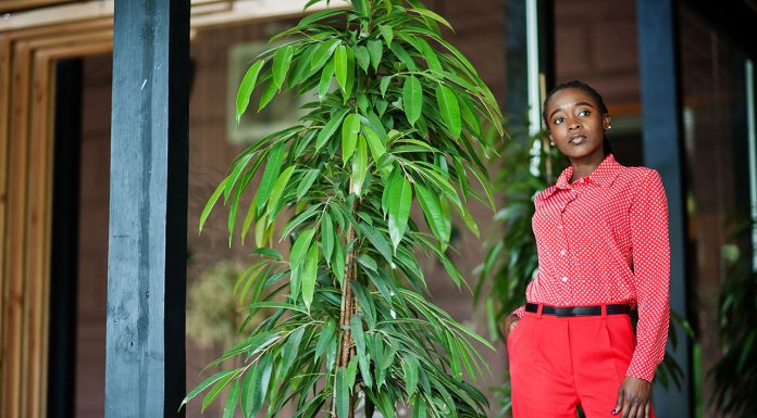 Marquise plant: care Marquise-plant-care