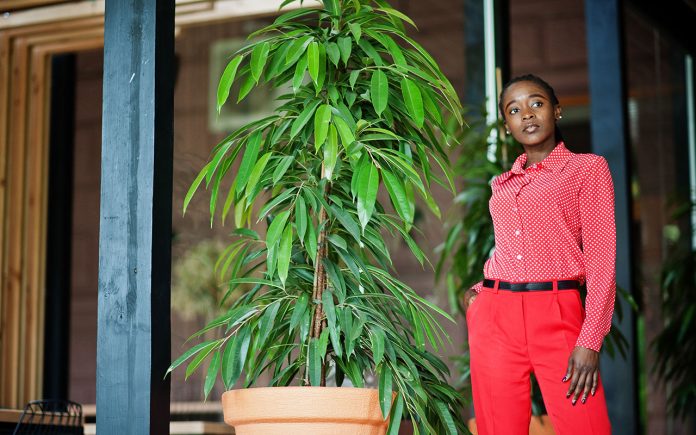 Marquise-plant-care