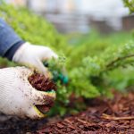Mulching: what it is, types and how to use it Mulching-what-it-is-types-and-how-to-use-it