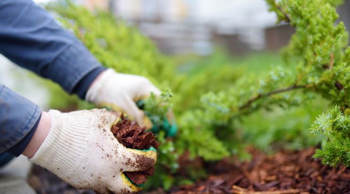 Mulching: what it is, types and how to use it Mulching-what-it-is-types-and-how-to-use-it
