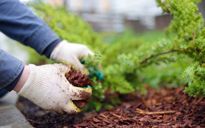 Mulching-what-it-is-types-and-how-to-use-it