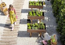 Original gardens with recycled objects Original-gardens-with-recycled-objects