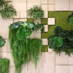 Plants for green walls Plants-for-green-walls