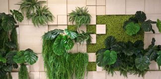 Plants for green walls Plants-for-green-walls