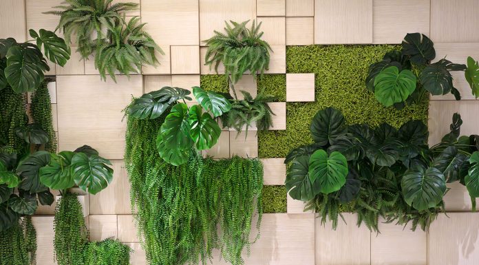Plants for green walls Plants-for-green-walls