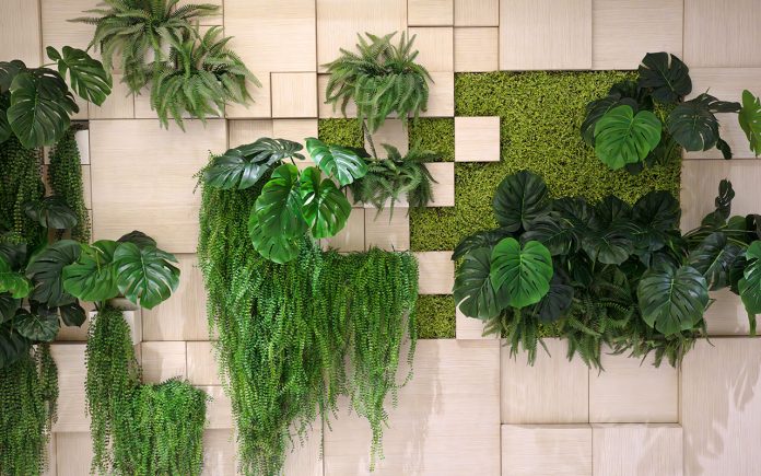 Plants-for-green-walls