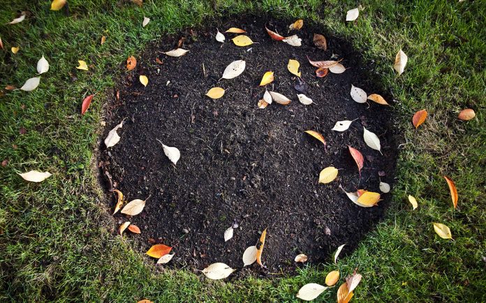 The-importance-of-removing-leaves-from-the-garden-soil