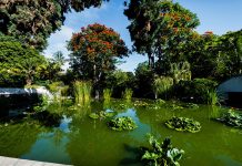 Turn a garden into a paradise of biodiversity Turn-a-garden-into-a-paradise-of-biodiversity