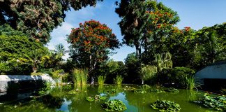 Turn a garden into a paradise of biodiversity Turn-a-garden-into-a-paradise-of-biodiversity