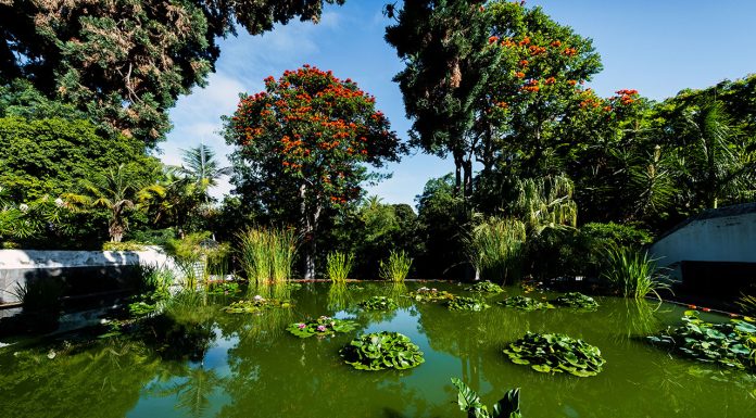 Turn a garden into a paradise of biodiversity Turn-a-garden-into-a-paradise-of-biodiversity