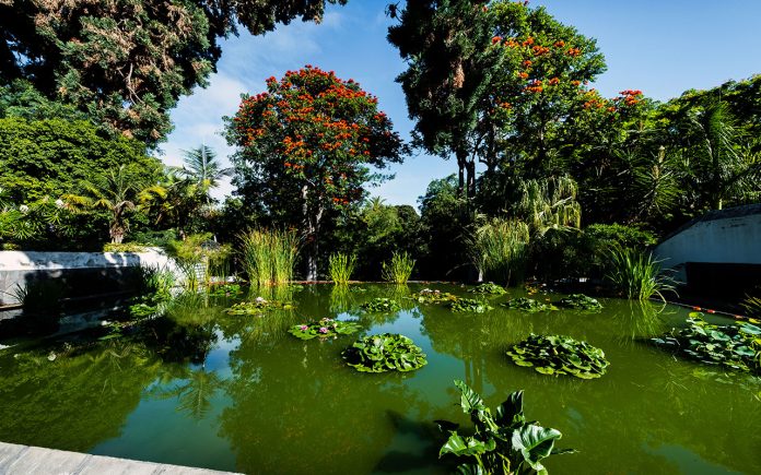 Turn-a-garden-into-a-paradise-of-biodiversity
