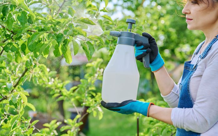 Uses-of-hydrogen-peroxide-in-the-garden