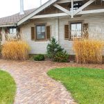 Yellow grass: causes and how to recover it Yellow-grass-causes-and-how-to-recover-it