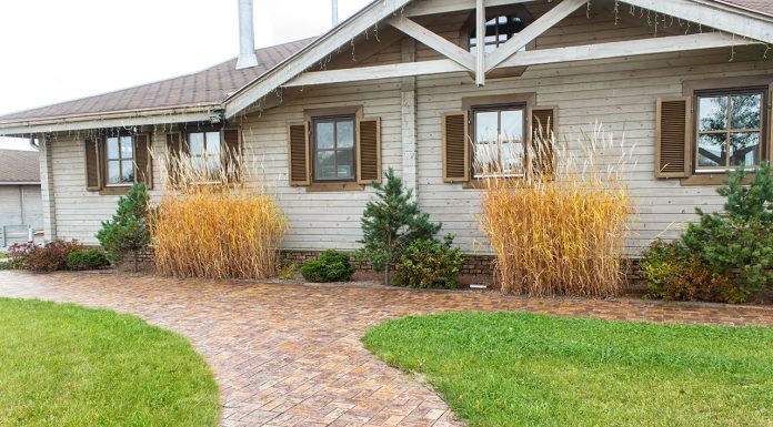 Yellow grass: causes and how to recover it Yellow-grass-causes-and-how-to-recover-it