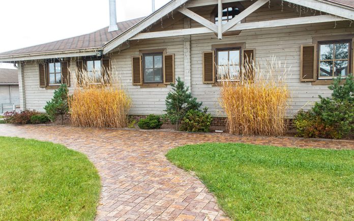Yellow-grass-causes-and-how-to-recover-it